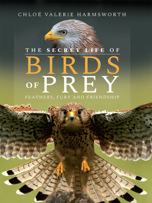 cover image of The Secret Life of Birds of Prey